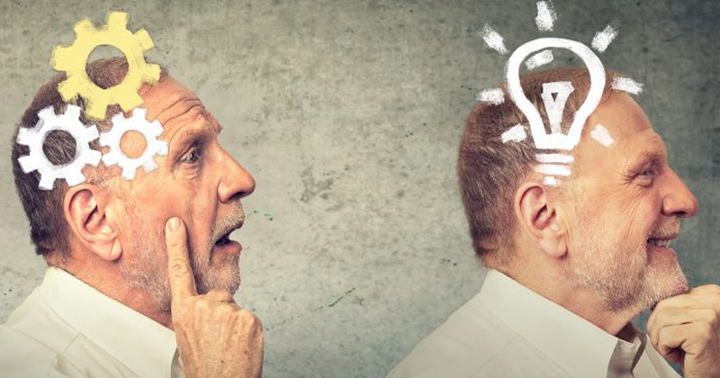 Capacités cognitives et vitalité